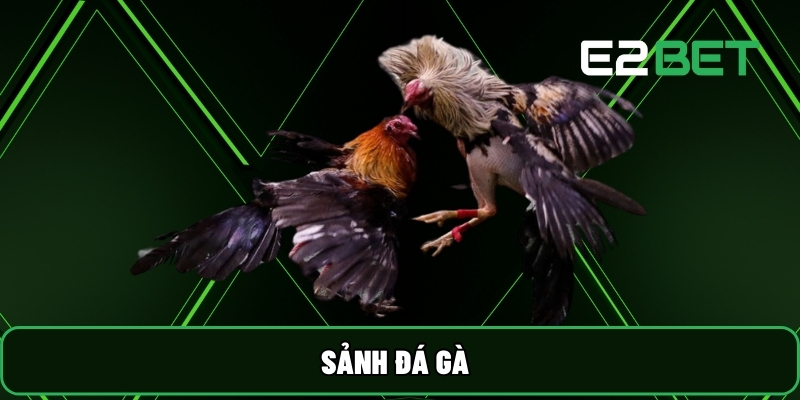 Sảnh Đá Gà