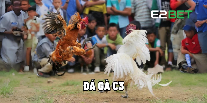 Đá Gà C3 – Trải Nghiệm Cá Cược Đỉnh Cao Trực Tuyến Tại E2BET 1 da ga c3 1