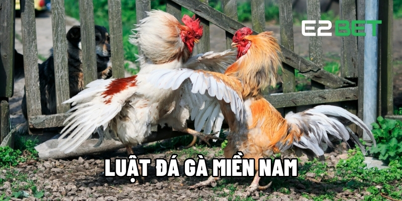 Luật đá gà miền Nam